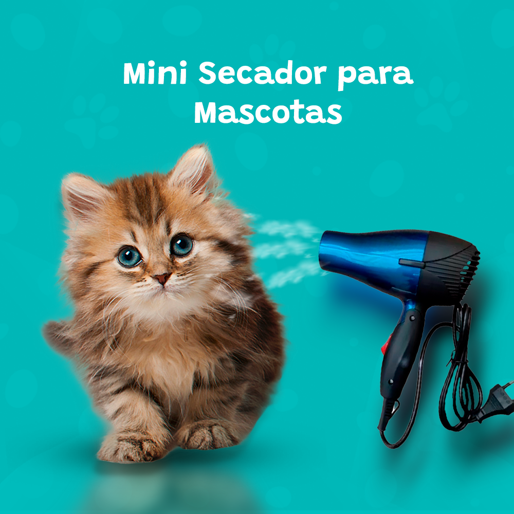 Secador para Mascotas con Ajuste de Temperatura