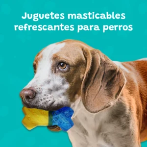 Juguetes Resistentes para Perros con Deseño variable
